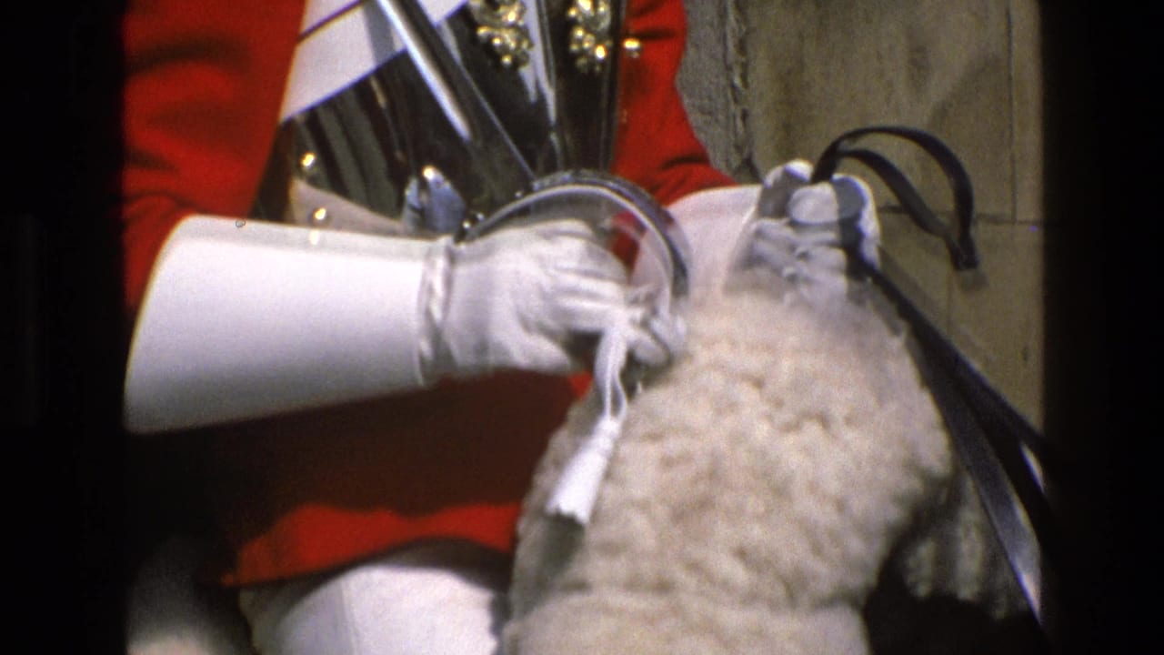 Close view of a guard's white gloves, reins, sword and horse's pale saddle cover.