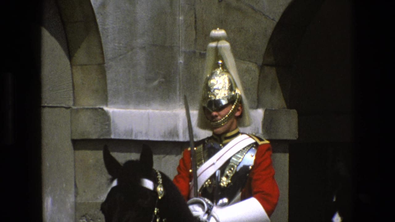 Ceremonial guard on a black horse facing forward with sword upright.