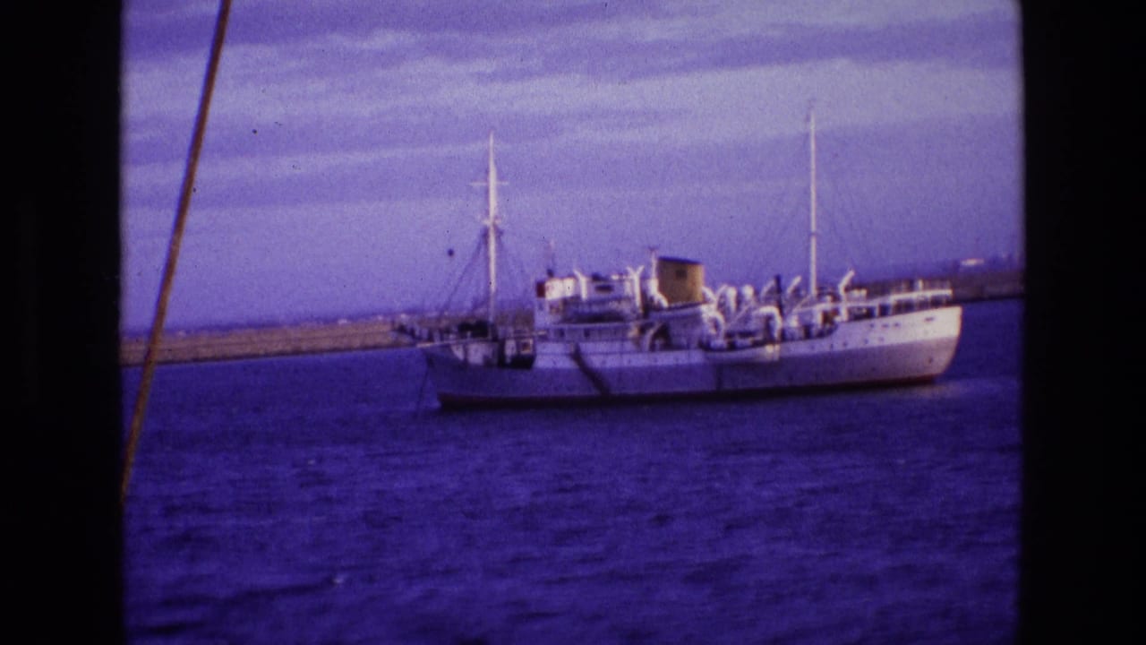 White passenger vessel on blue water near a low harbor wall.