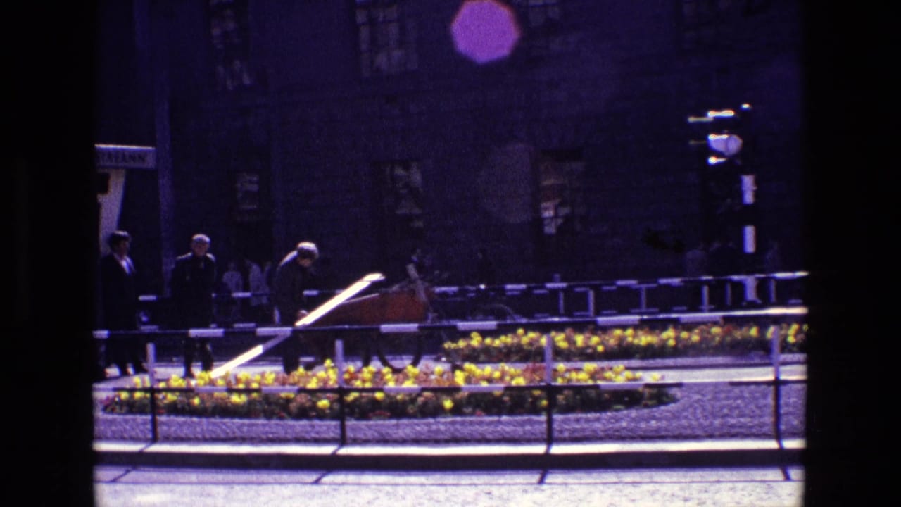 A man crosses near a flower bed and railings on a city street with cars behind him.