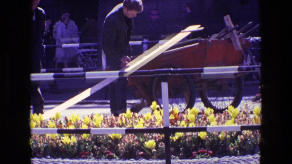 1969 Ireland street view with a cart, yellow flower beds, metal barriers, pedestrians, and strong sunlight across the roadway.
