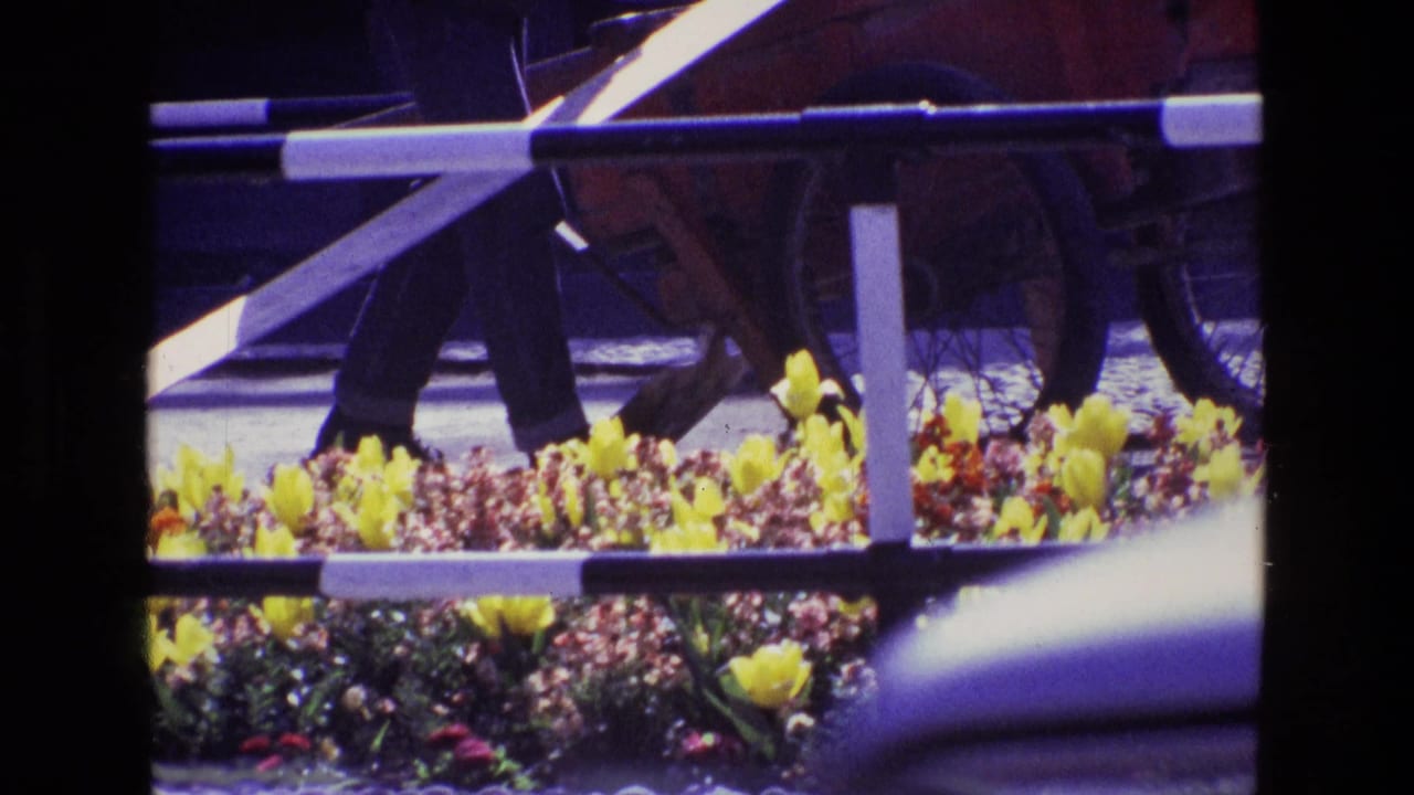Flower bed and barrier with pedestrian legs near a dark car in the background.