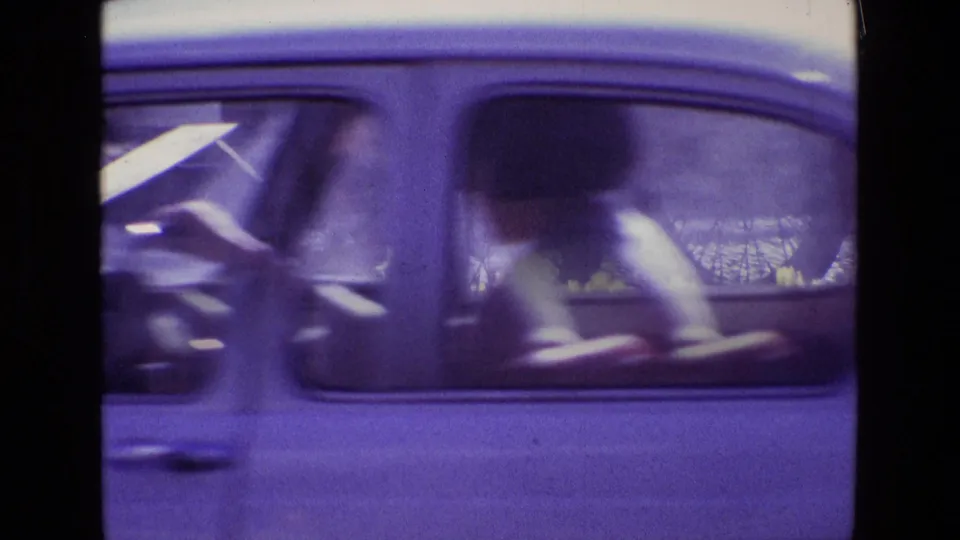 Passing car window with indistinct occupants and roadside flowers behind, captured in grainy 8mm footage from 1969 Ireland.