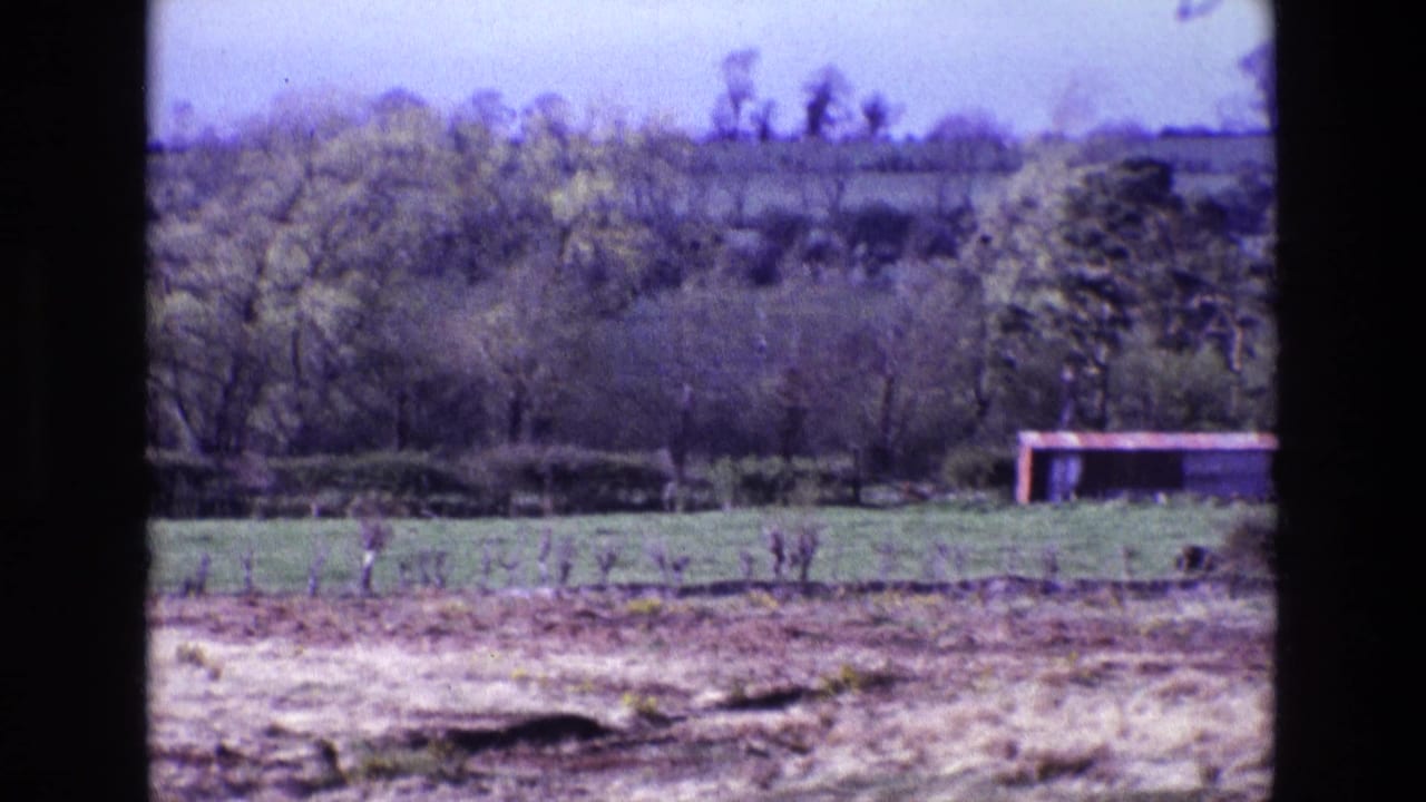 1969 Ireland countryside view with green fields, hedgerows, distant trees, and a low red structure near the right edge.
