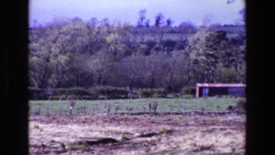 1969 Ireland countryside view with green fields, hedgerows, distant trees, and a low red structure near the right edge.