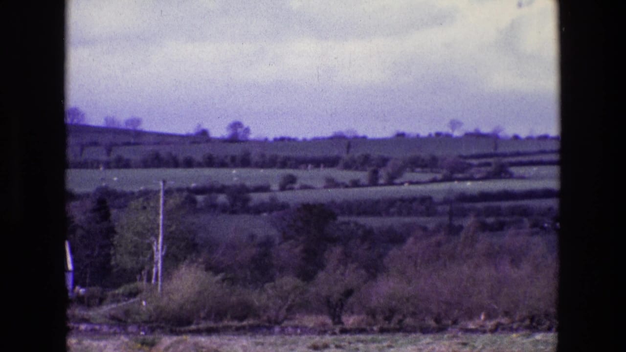 1969 Ireland countryside view with layered fields, hedgerows, trees, brush, and utility poles seen through a soft 8mm scan.