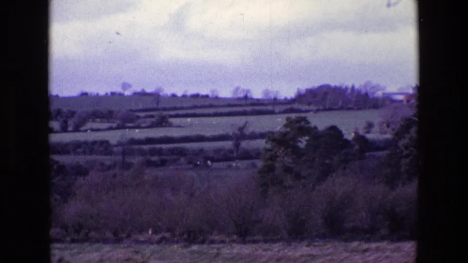 1969 Ireland home-movie still of rolling fields, hedge lines, tree clusters, and foreground vegetation under a muted cloudy sky.