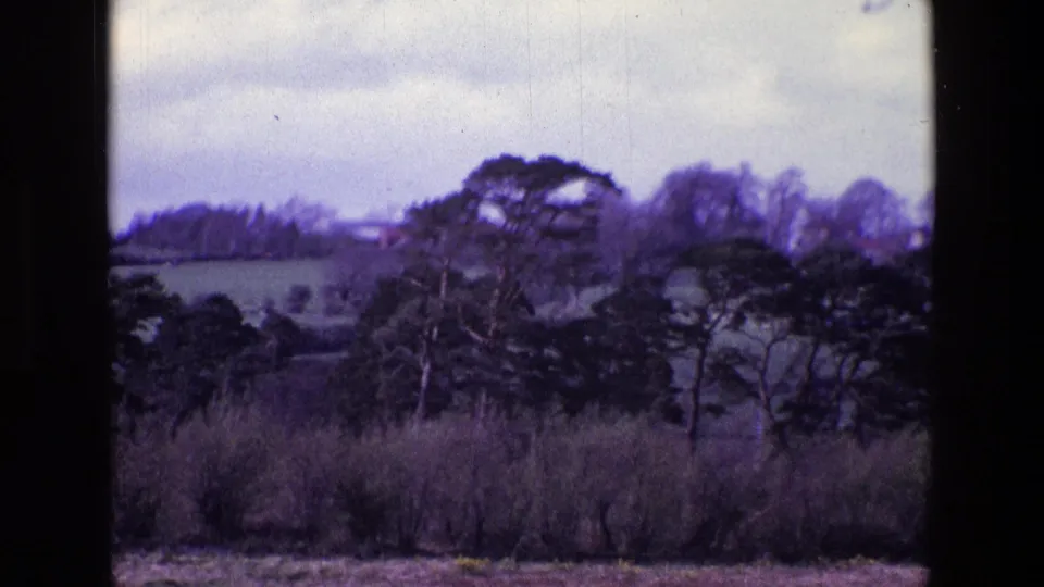 1969 Ireland countryside frame with dark evergreens, bare trees, hedgerows, and muted fields in soft 8mm color.