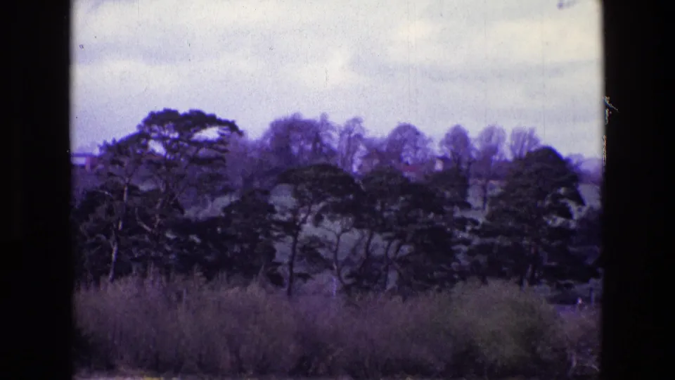 1969 Ireland rural view with a tree line, hedgerows, distant pasture, cloudy sky, and dark borders from the filmed vantage point.