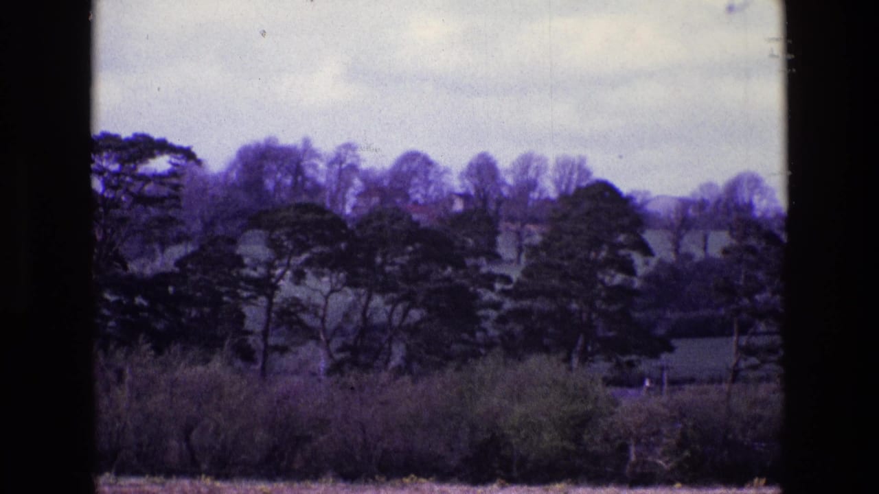 1969 Ireland 8mm frame showing a quiet rural field, hedgerow, distant trees, and soft hills beneath an overcast sky.
