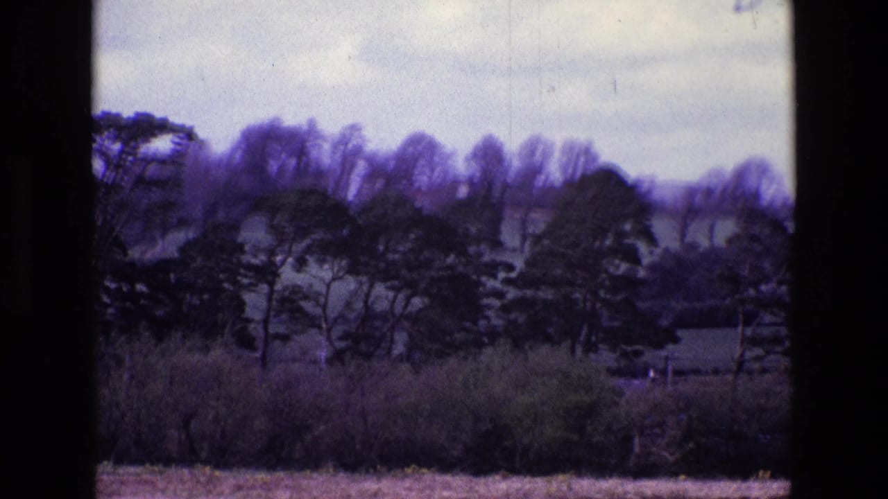 1969 Ireland home-movie view of a distant tree line and pasture, with subdued color and soft 8mm grain.