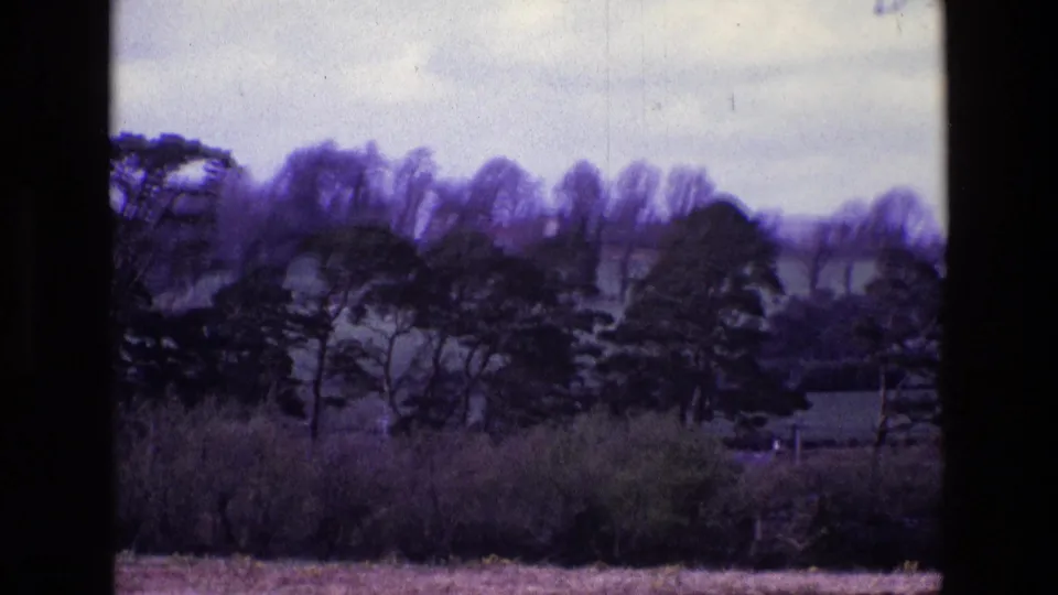 1969 Ireland home-movie view of a distant tree line and pasture, with subdued color and soft 8mm grain.