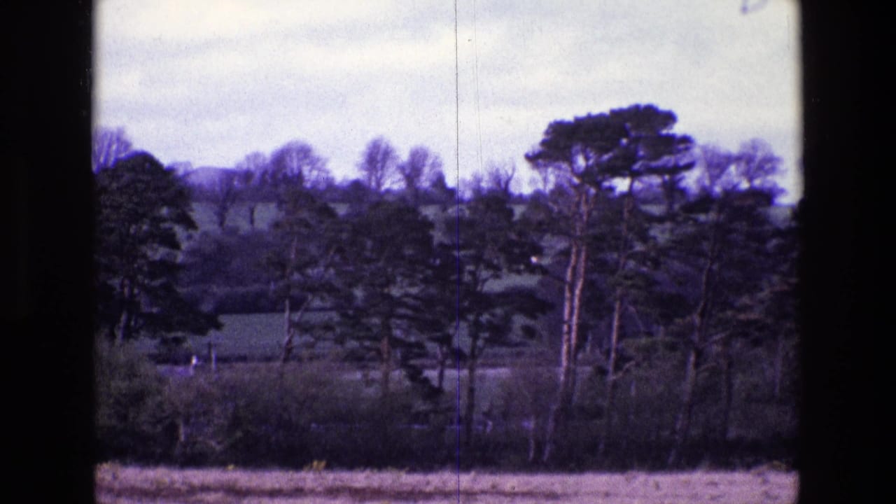 1969 Ireland home-movie view of green fields, hedgerow trees, and a pale sky with visible 8mm frame edges.