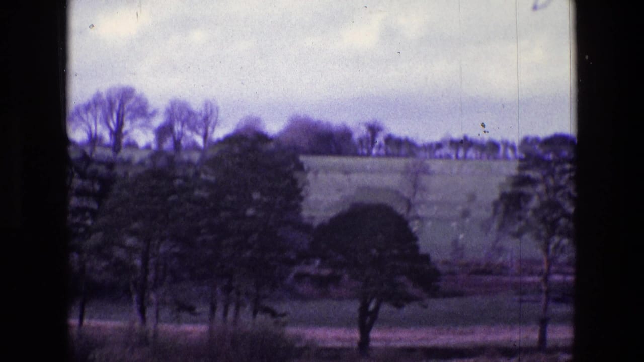 1969 Ireland rural landscape with a sloping field, scattered trees, distant treeline, and muted 8mm color shift.
