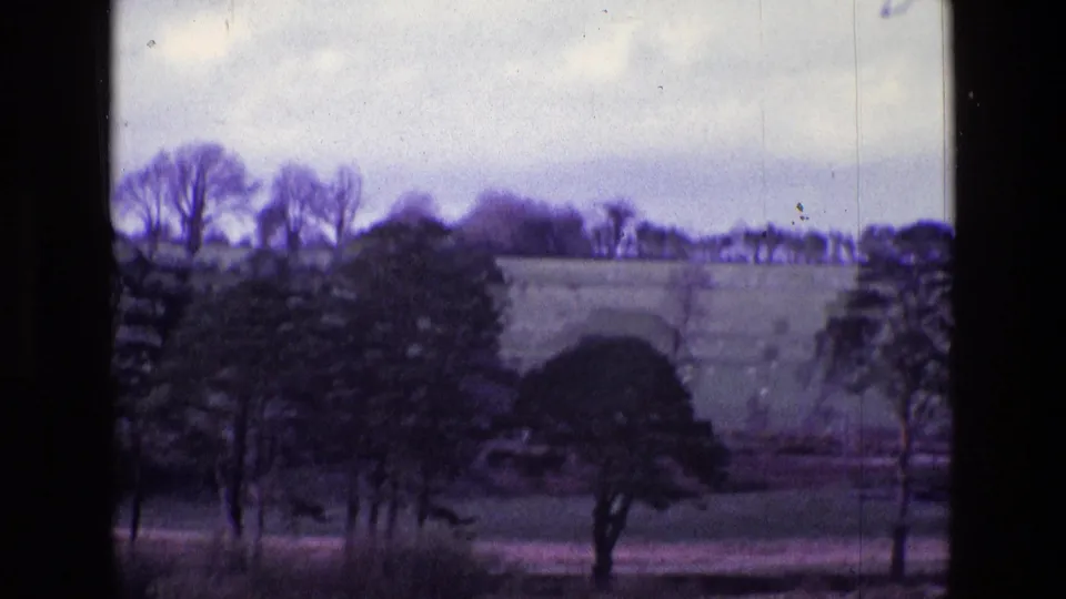 1969 Ireland rural landscape with a sloping field, scattered trees, distant treeline, and muted 8mm color shift.