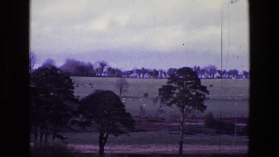 1969 Ireland countryside view showing rolling farmland, isolated trees, and a horizon treeline in soft 8mm color.