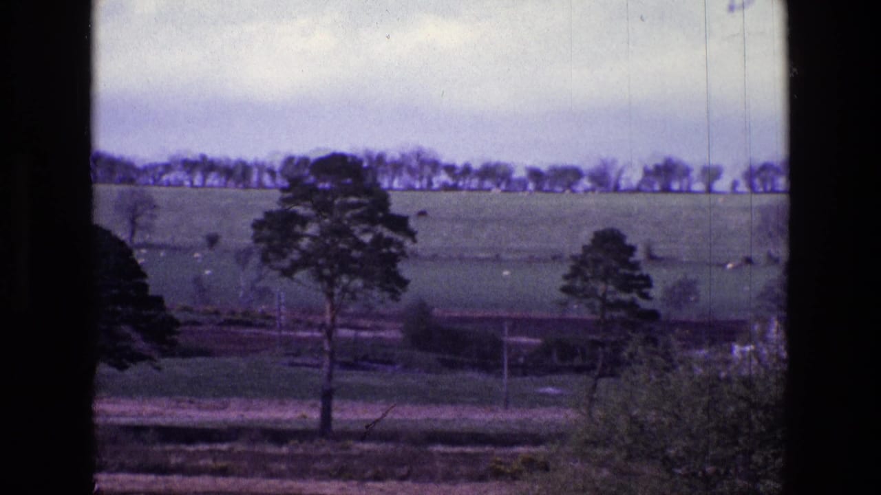 Green fields with scattered trees, distant tree line, cloudy sky, and dark film gate edges.