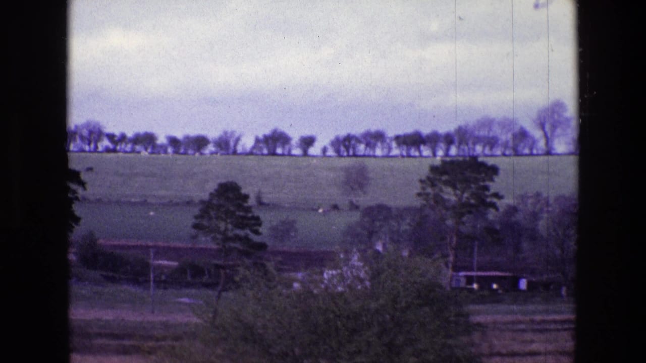 Rural hillside fields, distant trees, foreground shrubs, utility poles, and a small dark building.