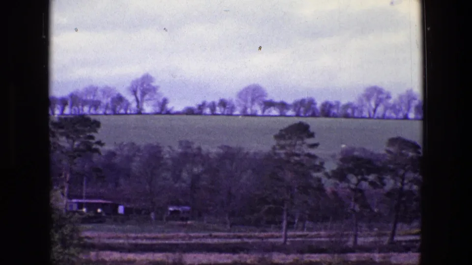 1969 Ireland countryside frame showing tree-lined fields, darker foreground woodland, utility poles, small structures, and cloudy sky.