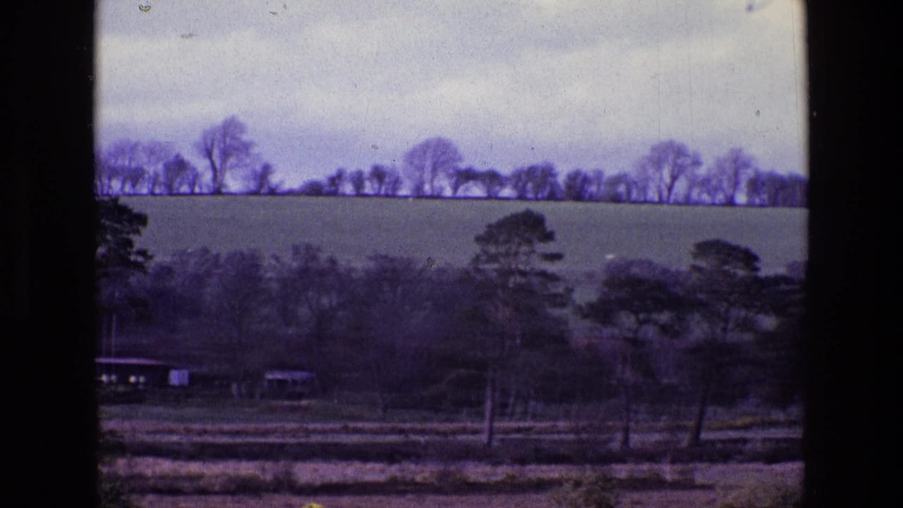 1969 8mm view of rural Ireland with green fields, distant bare trees, darker foreground trees, and an overcast sky.