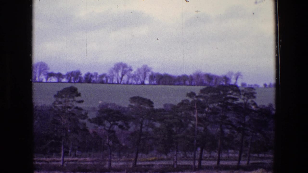 Countryside view with open fields, tree lines, and dark trees in the foreground.