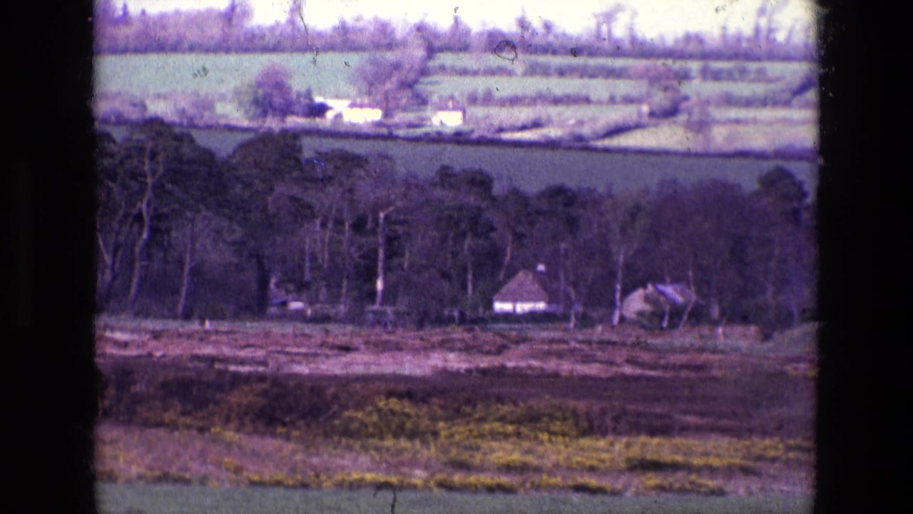 Rural fields with trees, distant houses, and dark film gate edges.