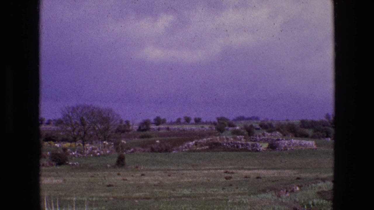 Open green field under a purple sky with stone walls and bare trees.