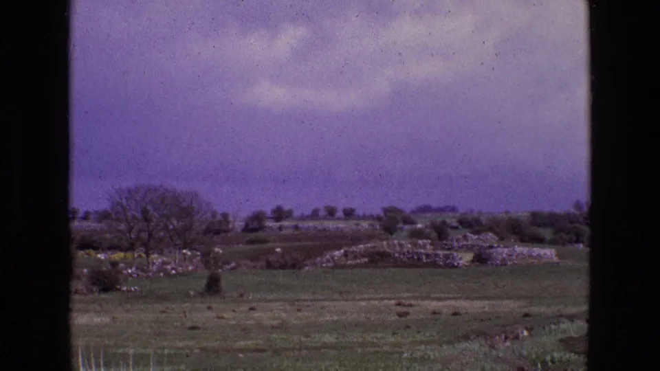 1969 Ireland rural landscape with low stone walls, bare trees, hedgerows, and a purple-tinged sky.