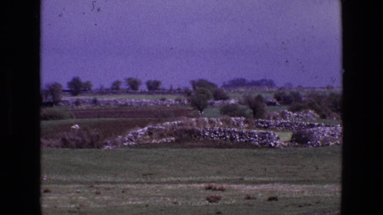 Green Irish fields divided by dry-stone walls under a purple-tinted sky.