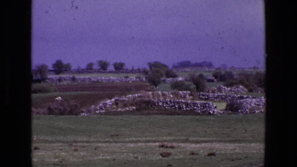 1969 8mm view of rural Ireland with green pasture, low stone walls, distant trees, and dark frame edges.