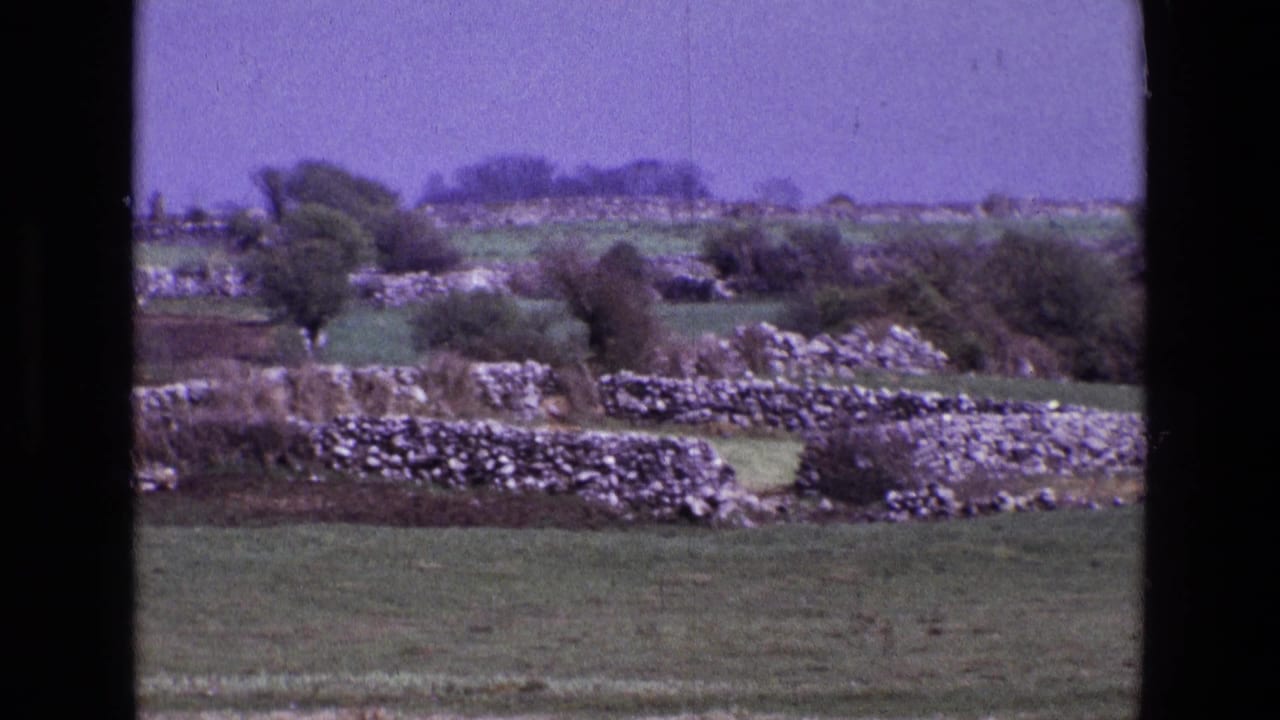 Stone walls cross green fields with distant trees beyond them.