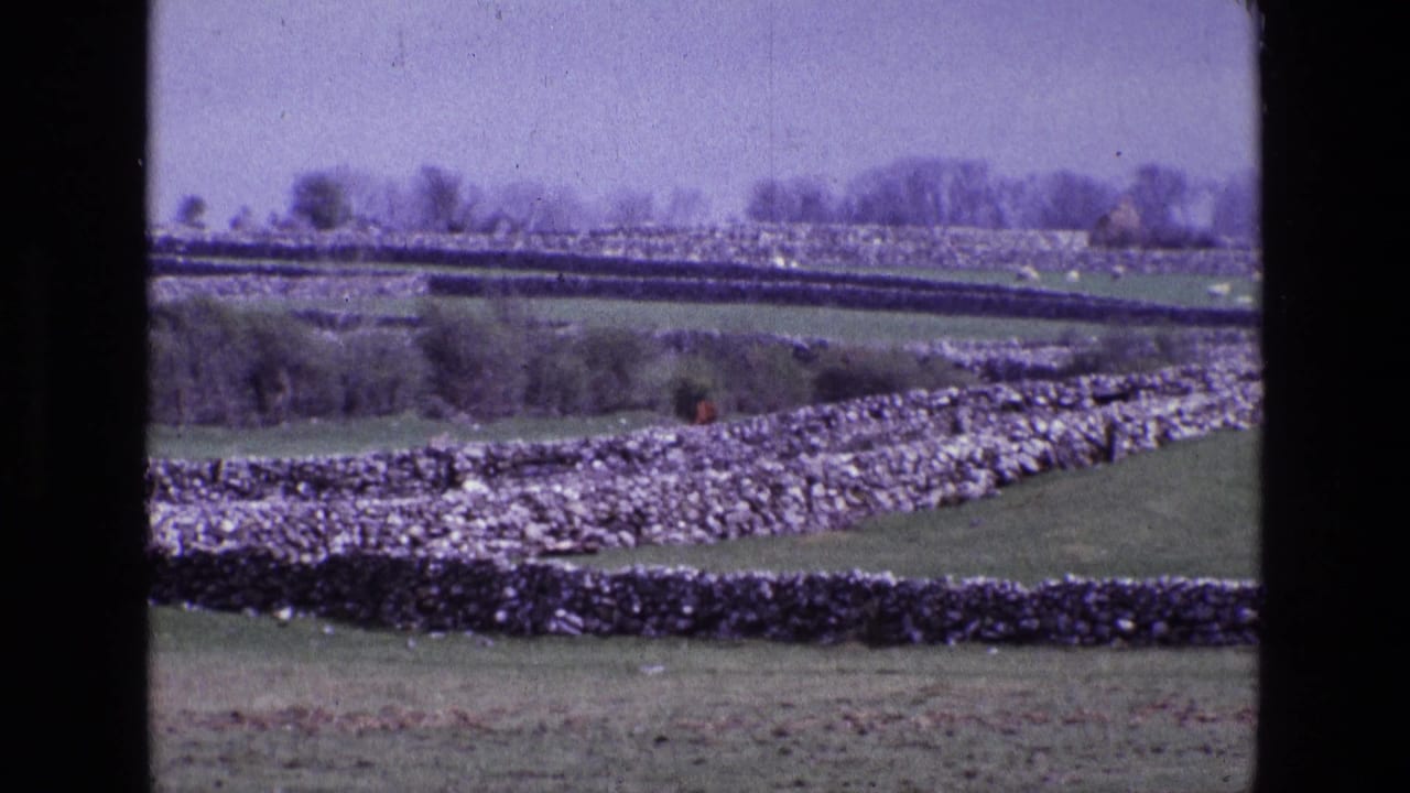 Green fields divided by dry-stone walls under a pale sky.
