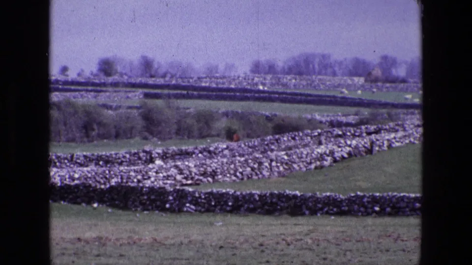 1969 Irish countryside with layered dry-stone walls, green pasture, distant trees, and soft 8mm film grain.
