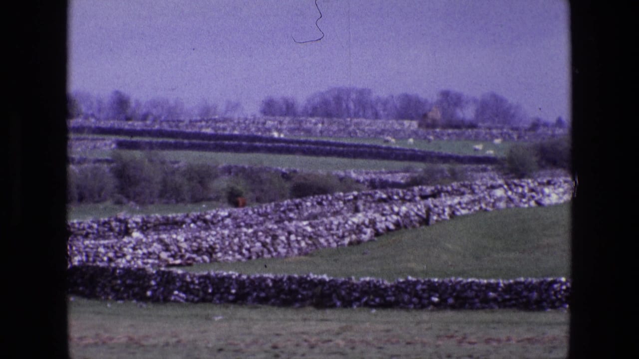 A 1969 home-movie view of Irish pasture crossed by dry-stone walls, with bare trees along the horizon.