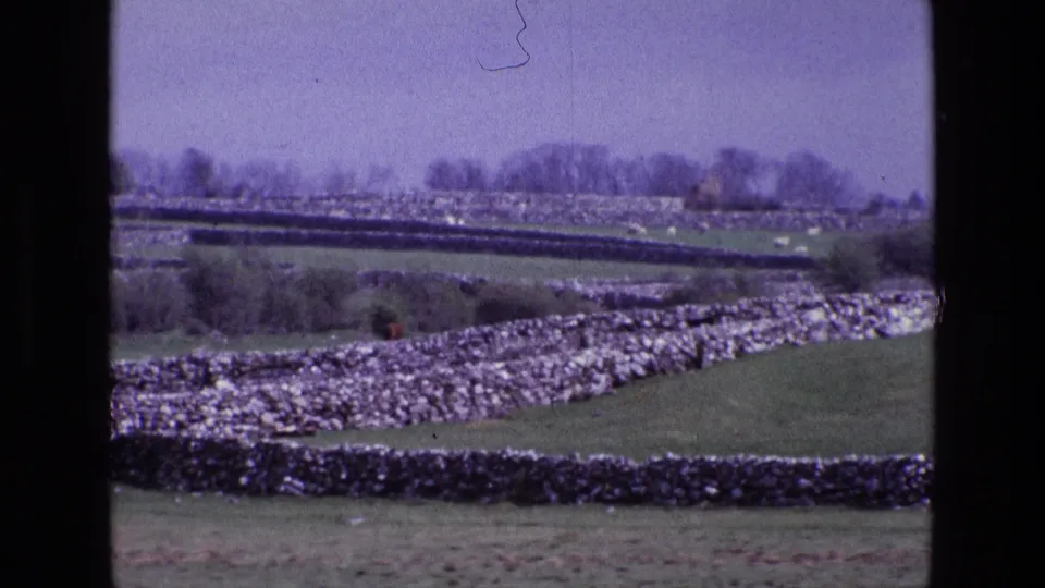 A 1969 home-movie view of Irish pasture crossed by dry-stone walls, with bare trees along the horizon.