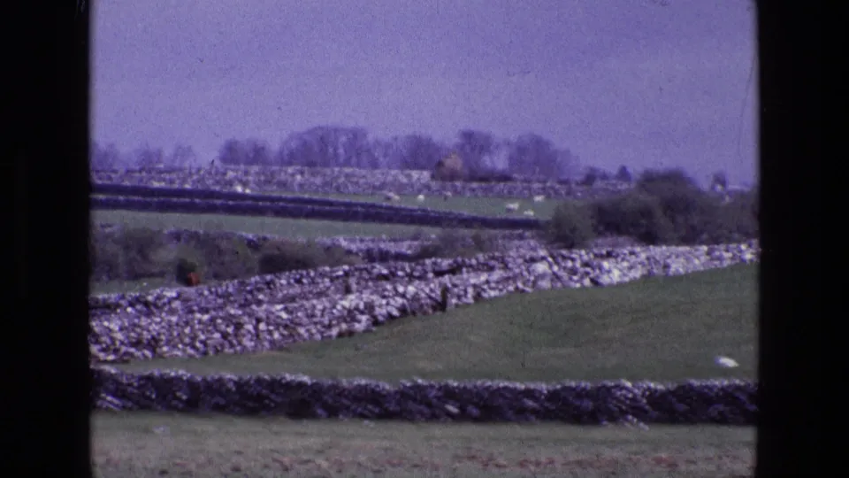 Irish rural fields in 1969, seen through soft 8mm grain, with stone walls stepping across the landscape.
