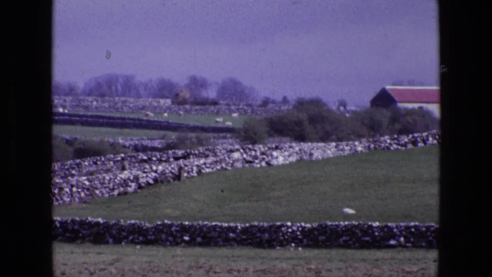 1969 Irish countryside with sheep in distant pasture, dry-stone walls, bare trees, and a red-roofed building at frame edge.