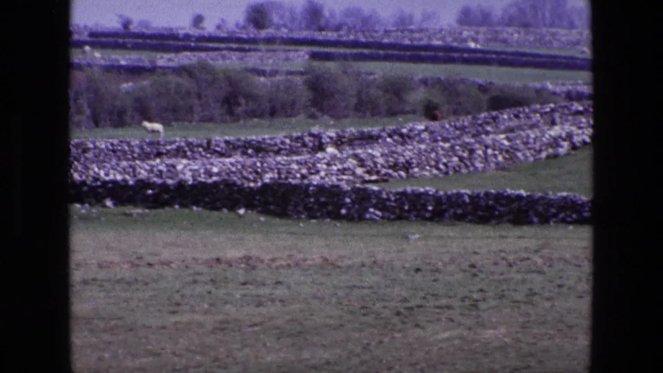 Rural Ireland pasture in 1969, showing layered stone walls, hedgerows, open fields, and a grazing sheep in the distance.