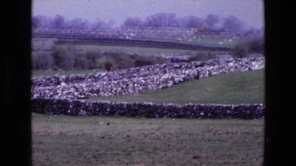 1969 Irish countryside view with receding stone walls, green fields, hedgerows, and distant trees captured on grainy 8mm film.