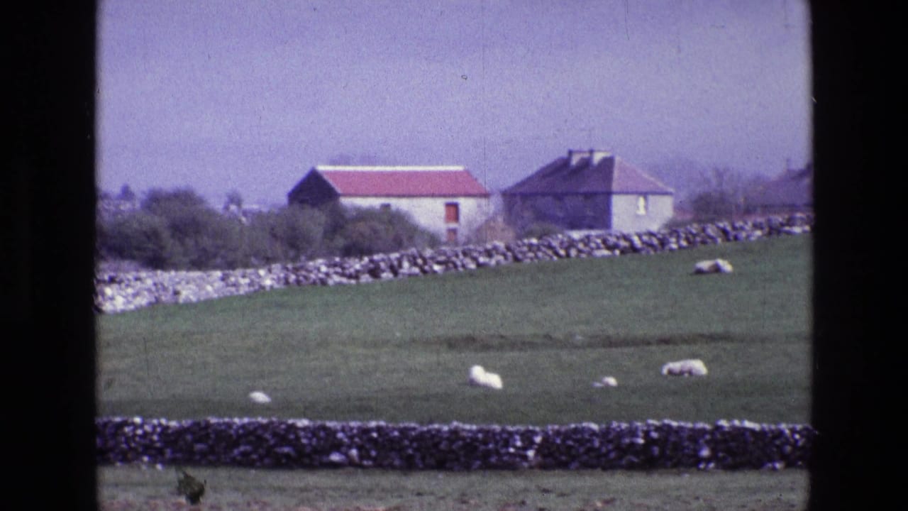 1969 Ireland countryside view with sheep grazing in a green field below dry-stone walls and distant farmhouses.