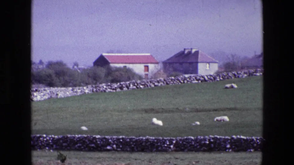 1969 Ireland countryside view with sheep grazing in a green field below dry-stone walls and distant farmhouses.