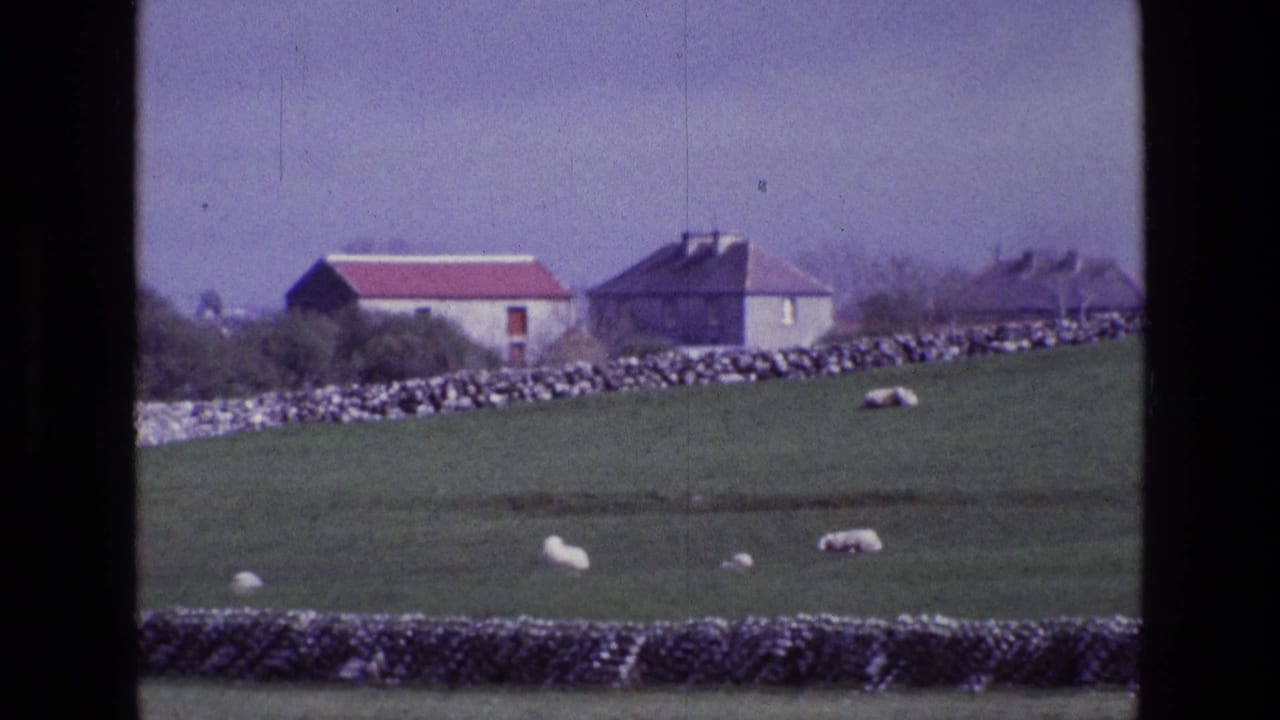 Rural Ireland field in 1969 with sheep grazing below stone walls and two distant farm buildings.