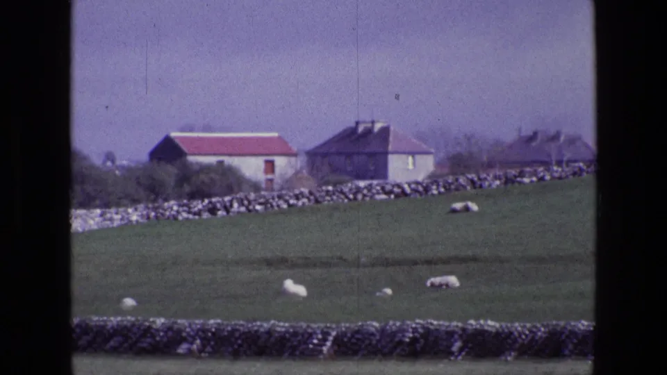 Rural Ireland field in 1969 with sheep grazing below stone walls and two distant farm buildings.