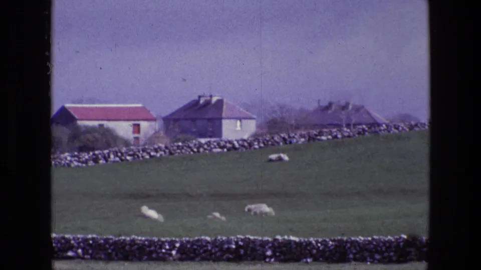 1969 home-movie frame of Irish pastureland with sheep, dry-stone boundaries, and distant rural houses.