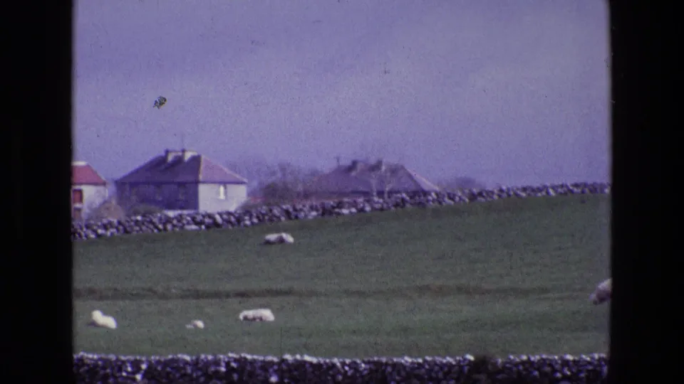 Irish countryside frame from 1969 showing sheep on a green hillside with stone walls and farm buildings beyond.