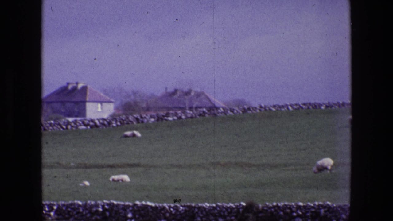 Green pasture with grazing sheep, stone walls, and distant rural houses.