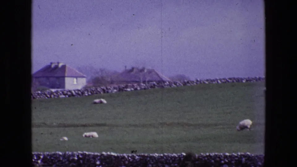 1969 Irish countryside view with sheep in green pasture, dry stone walls, and small rural buildings in the distance.