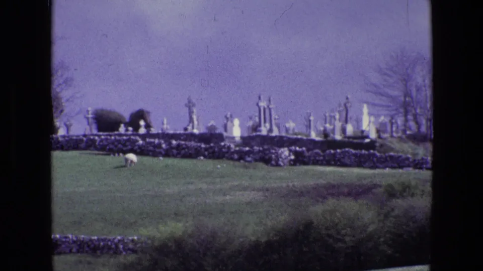 Irish pasture scene with sheep below a dry stone wall, a hilltop cemetery, and trees against a purple-blue sky.