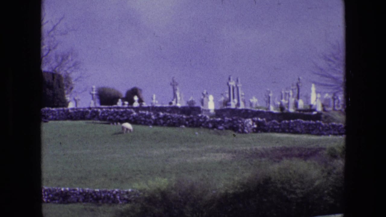 1969 Ireland 8mm frame showing a hilltop cemetery beyond stone walls, with a white sheep grazing in the foreground pasture.
