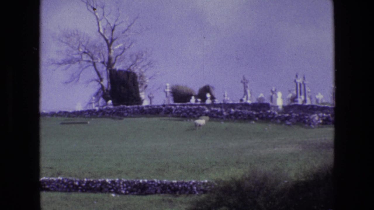 A rural Irish hilltop cemetery appears beyond a green field, with stone walls, grave markers, and a lone grazing sheep.
